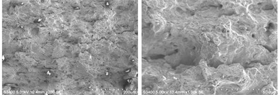 圖9-13 瞬斷區(qū)低倍形貌 圖9-14 瞬斷區(qū)高倍韌窩形貌