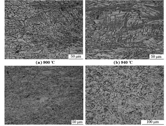 圖５ 在不同溫度、應(yīng)變速率為０．０１０s－１下壓縮至應(yīng)變量為７０％后GH４１６９合金的顯微組織