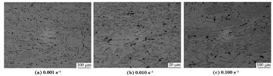 圖６ 在９８０ ℃、不同應(yīng)變速率下壓縮至應(yīng)變量為７０％后GH４１６９合金的顯微組織