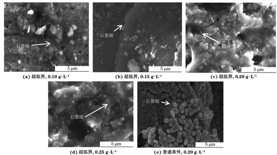 圖２ 兩種條件不同 GO質(zhì)量濃度下制備復(fù)合電鑄層的SEM 形貌