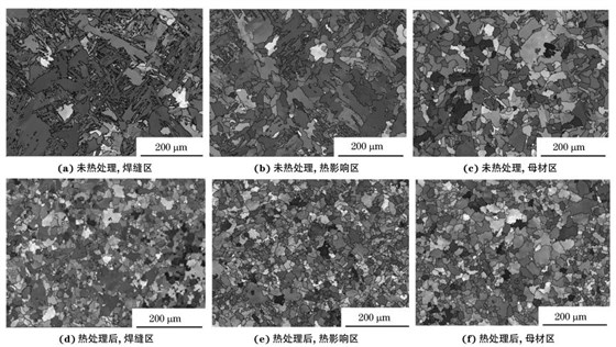 圖２ 熱處理前后焊接接頭焊縫區(qū)、熱影響區(qū)和母材區(qū)的取向成像圖