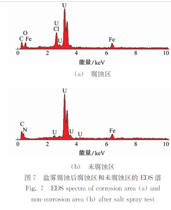 圖７ 鹽霧腐蝕后腐蝕區(qū)和未腐蝕區(qū)的ＥＤＳ譜