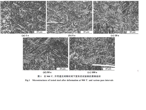 圖１ 在９００ ℃、不同道次間隔時(shí)間下變形后試驗(yàn)鋼的顯微組織