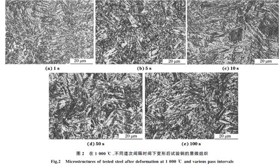 圖２ 在１０００ ℃、不同道次間隔時(shí)間下變形后試驗(yàn)鋼的顯微組織