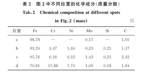 表２ 圖２中不同位置的化學成分(質(zhì)量分數(shù))