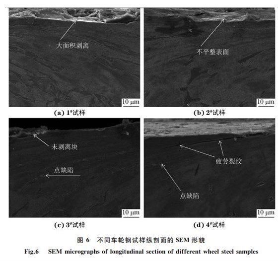 圖 ６ 不同車輪鋼試樣縱剖面的SEM 形貌