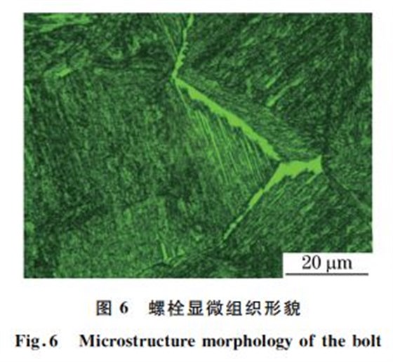 圖６ 螺栓顯微組織形貌