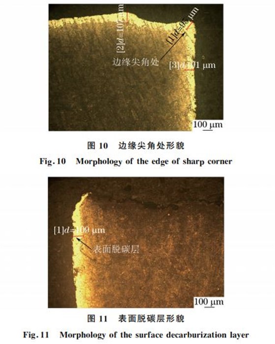 圖１１ 表面脫碳層形貌