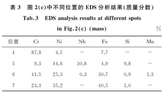 表３ 圖２ c 中不同位置的 EDS分析結果 質量分數(shù)