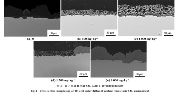 圖４ 在不同含量甲酸ＧCO２ 環(huán)境下２０鋼的截面形貌