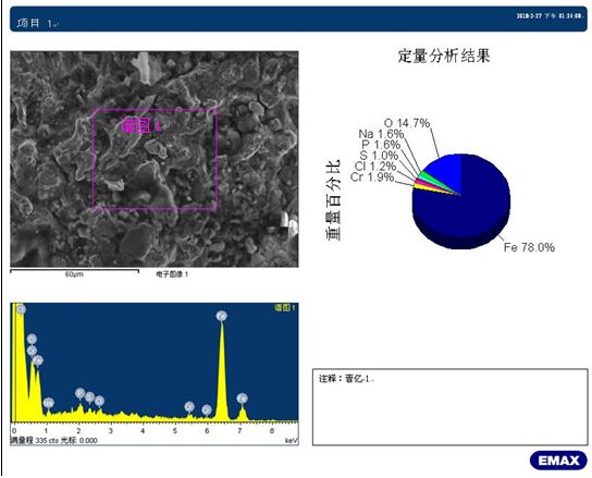 斷面腐蝕產物能譜分析結果