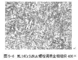 ML16CrSiNiA螺栓調(diào)質(zhì)金相組織400×