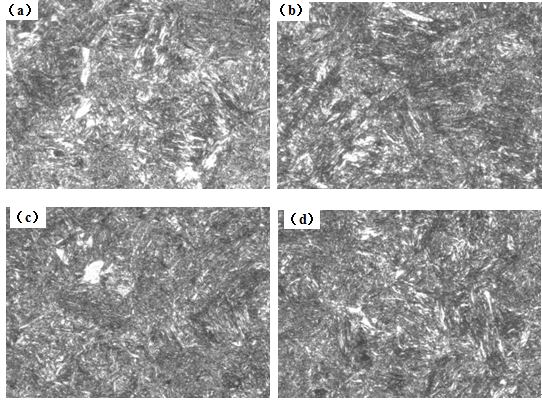圖12-15 （a、b、c、d） 1～4號樣金相組織 500×
