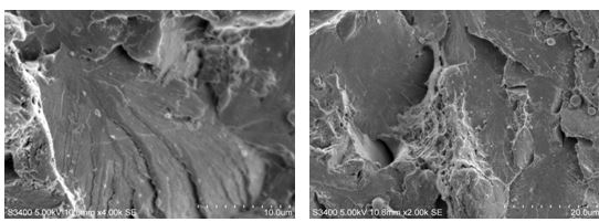 圖16-50 斷口解理形貌 圖16-51 斷口解理＋韌窩形貌