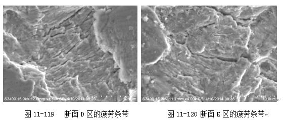 斷面D區(qū)的疲勞條帶