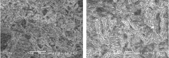 圖16-69 無(wú)裂紋件的組織形貌 500×圖16-70 無(wú)裂紋件的組織形貌 1000×