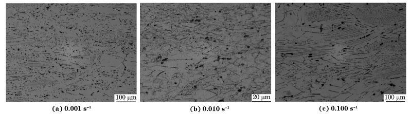 圖６ 在９８０ ℃、不同應(yīng)變速率下壓縮至應(yīng)變量為７０％后GH４１６９合金的顯微組織