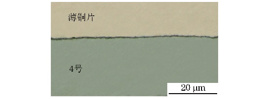 圖２ ２號和３號試樣氧化層形貌