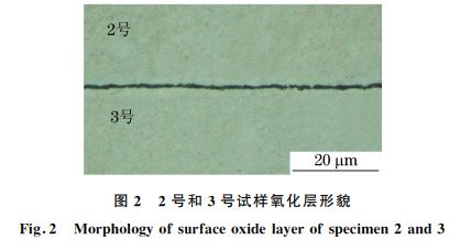 圖２ ２號和３號試樣氧化層形貌
