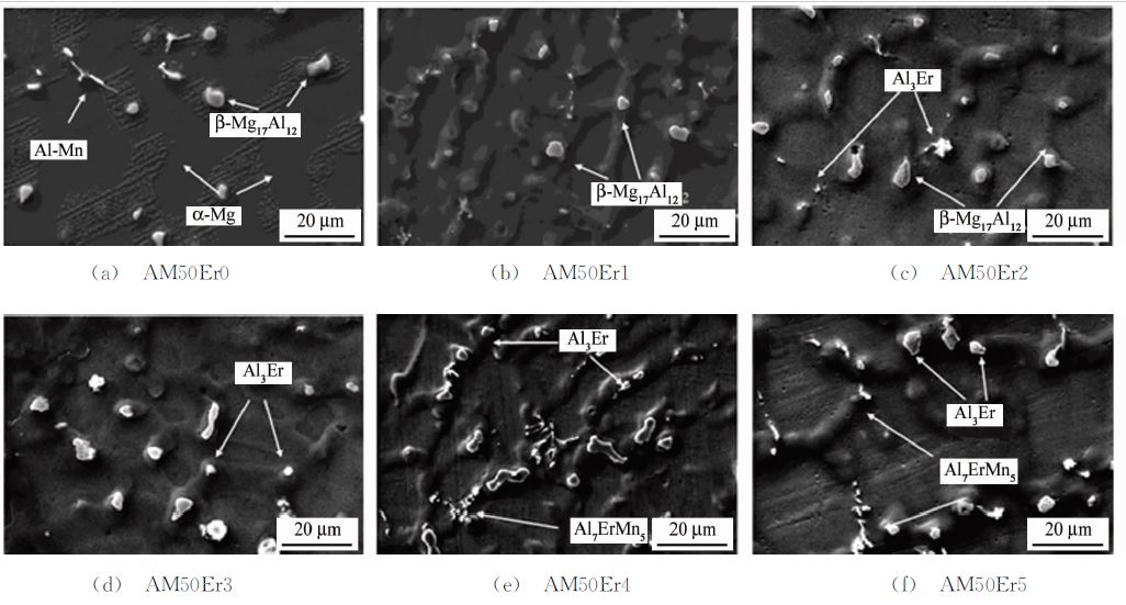 圖３ 不同Ｅｒ含量ＡＭ５０合金的ＳＥＭ 圖