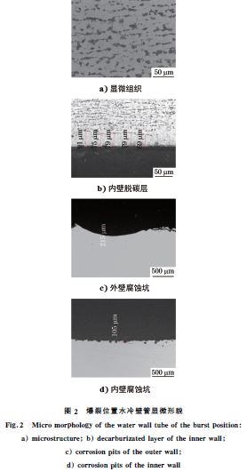 圖２ 爆裂位置水冷壁管顯微形貌