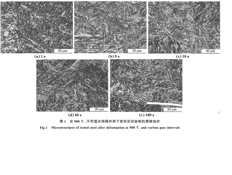 圖１ 在９００ ℃、不同道次間隔時(shí)間下變形后試驗(yàn)鋼的顯微組織