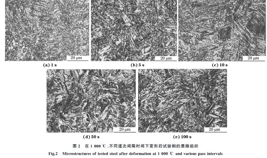 圖２ 在１０００ ℃、不同道次間隔時(shí)間下變形后試驗(yàn)鋼的顯微組織