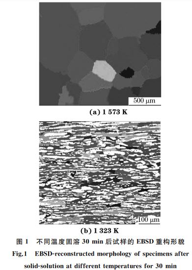 不同溫度固溶３０min后試樣的 EBSD重構形貌