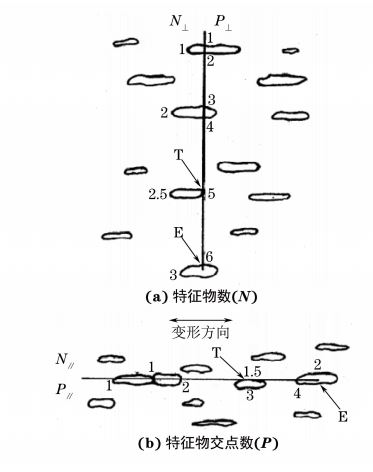 圖２ 顯微組織的特征物數(shù)(N)和特征物交點(diǎn)數(shù)(P)計(jì)算示意圖