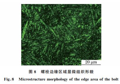圖８ 螺栓邊緣區(qū)域顯微組織形貌