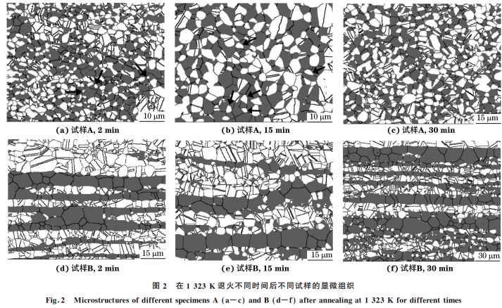 圖２ 在１３２３K 退火不同時間后不同試樣的顯微組織