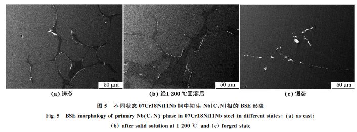 圖5 不同狀態(tài)07Cr18Ni11Nb鋼中初生 Nb(C，N)相的 BSE形貌