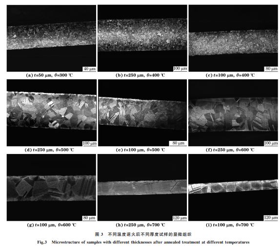 圖３ 不同溫度退火后不同厚度試樣的顯微組織