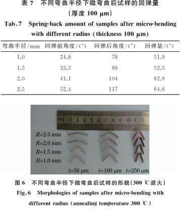 表７ 不同彎曲半徑下微彎曲后試樣的回彈量