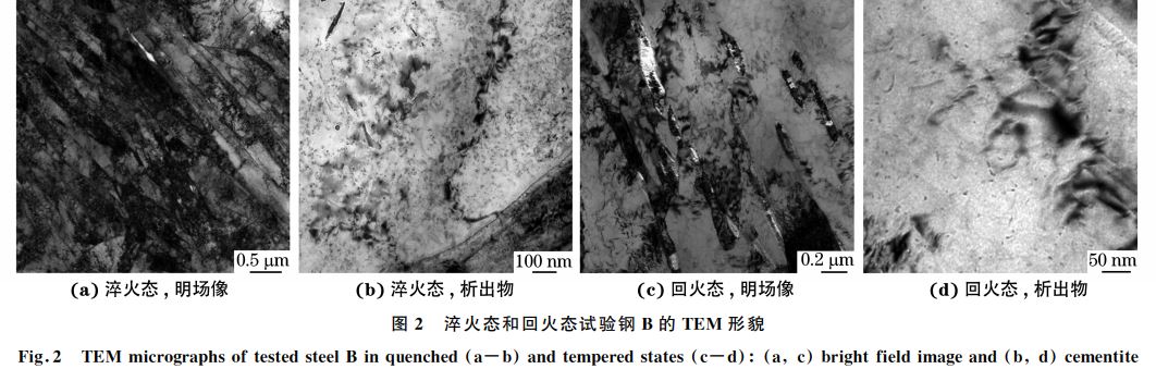 圖２ 淬火態(tài)和回火態(tài)試驗鋼 B的 TEM 形貌